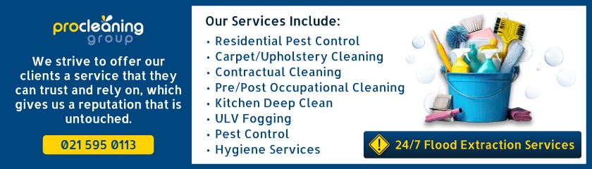 ProCleaning-Pagebanner
